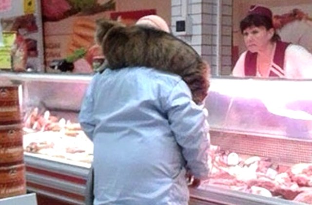 La shopping ca la circ. 10+ ipostaze bizare surprinse la cumparaturi