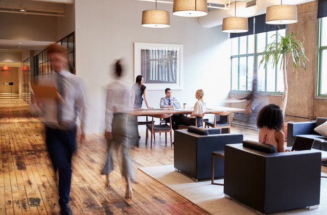 Atmosfera de la birou poate afecta felul in care lucreaza angajatii. Cum sa folosesti ambianta pentru a stimula productivitatea