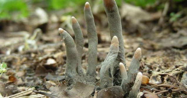  Top  10+ imagini care demonstreaza ca natura poate fi cu adevarat infricosatoare si periculoasa