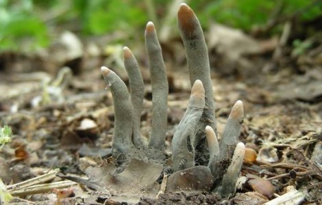  Top  10+ imagini care demonstreaza ca natura poate fi cu adevarat infricosatoare si periculoasa