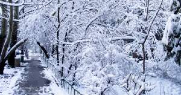 A nins in Pasul Tihuta