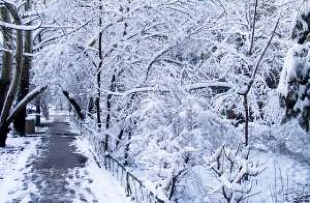 A nins in Pasul Tihuta