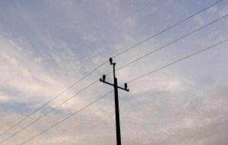 Trend crescator pentru piata telecom din Romania