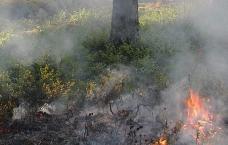 Restrangerea arealelor cu risc de incendiu in Grecia