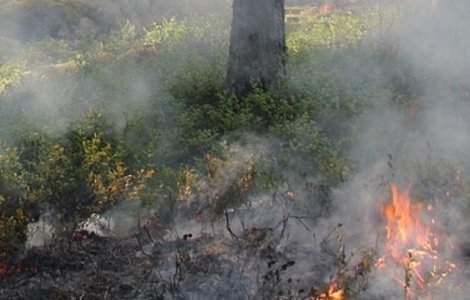 Restrangerea arealelor cu risc de incendiu in Grecia