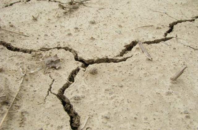 Cutremur de 6 grade in Iran: cel putin 2 morti si 247 de raniti