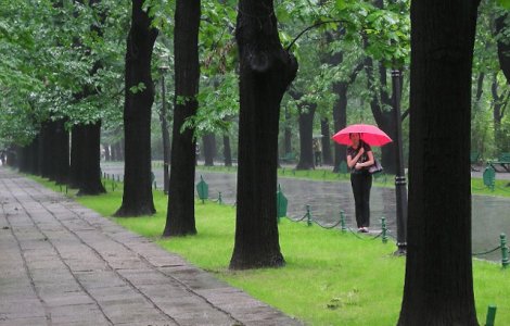 PMB a cumparat doua tomografe care evalueaza rezistenta arborilor