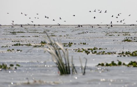 Excursii in Delta Dunarii: locuri minunate pe care sa le vizitezi
