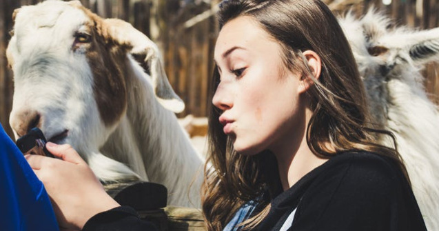  Top  10 ghicitori cu animale care iti vor starni curiozitatea