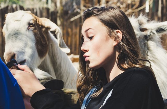 10 ghicitori cu animale care iti vor starni curiozitatea