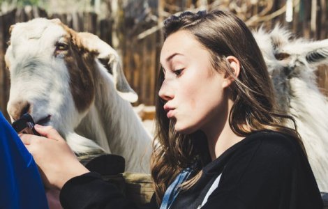  Top  10 ghicitori cu animale care iti vor starni curiozitatea