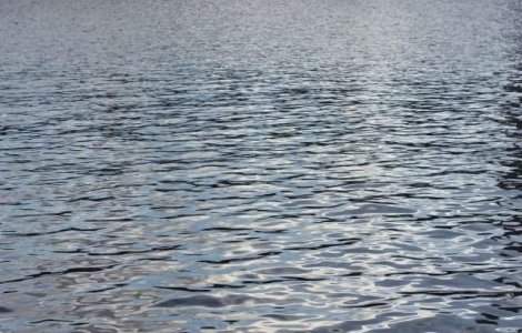 Trupul unei femei a fost gasit plutind pe un lac din municipiul Arad