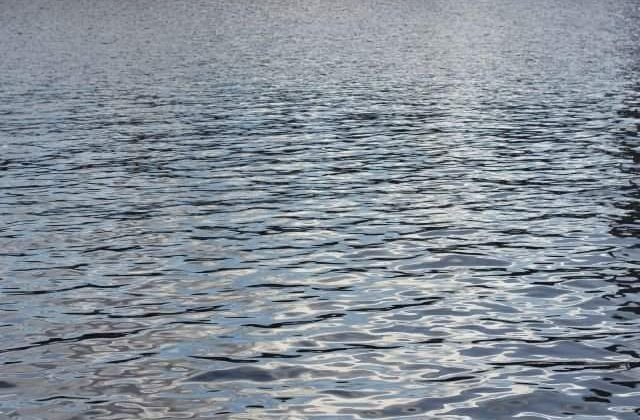 Trupul unei femei a fost gasit plutind pe un lac din municipiul Arad