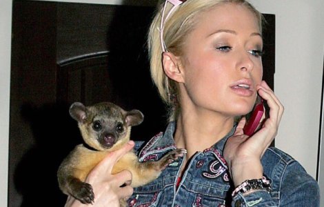  Top  Vedetele si alegerile lor excentrice: 10+ cele mai neobisnuite animale de companie ale celebritatilor