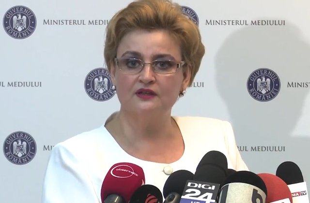 Gratiela Gavrilescu: Tariceanu seamana a fi cel mai bun presedinte
