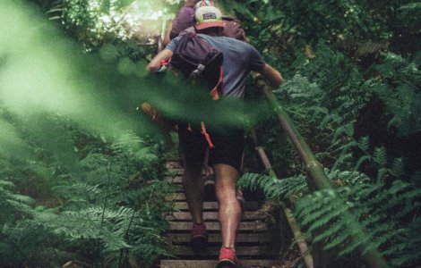 OMS: Un sfert dintre adulti nu fac suficienta miscare pentru sanatatea lor