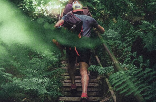 OMS: Un sfert dintre adulti nu fac suficienta miscare pentru sanatatea lor