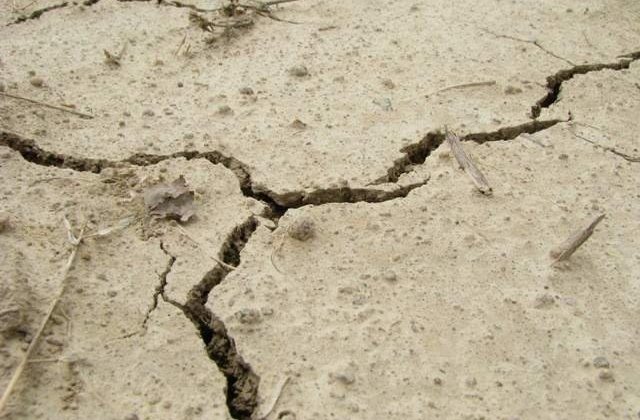 Cutremur de 6,6 in nordul Japoniei, soldat cu 18 morti si 22 de disparuti