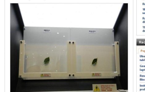 Japonezii au inventat sticla "invizibila"