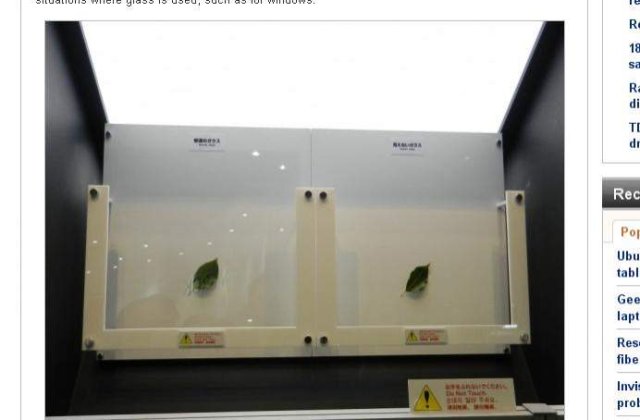 Japonezii au inventat sticla "invizibila"
