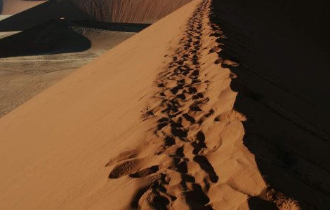 Riscul muncii la negru: Romani, abandonati in desert