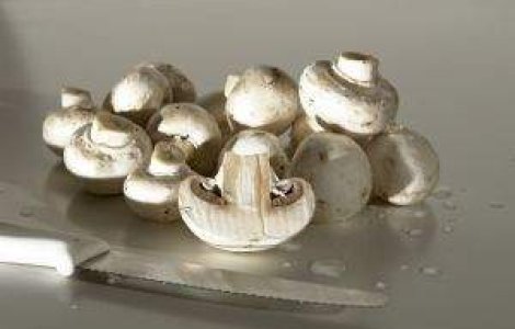 Romani retinuti in Franta pentru trafic de ciuperci