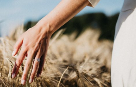 Studiu: Cresterea nivelului de dioxid de carbon din atmosfera reduce valoarea nutritiva a alimentelor