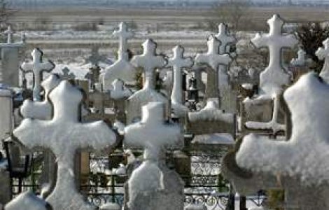 Spaga din cimitire, reclamati acum la linia verde