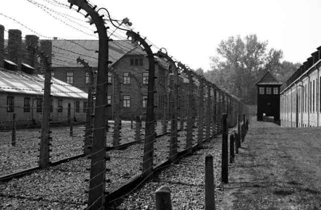Parlamentar ucrainean: Romania, complice nedeclarat la Holocaust