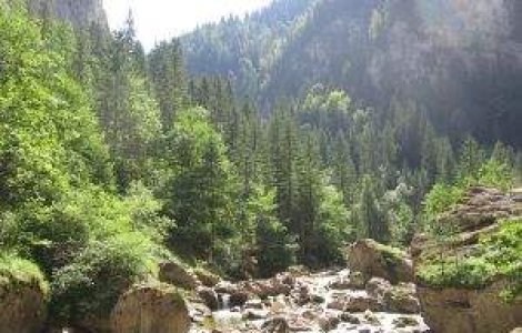 Romania face cu ochiul turistilor