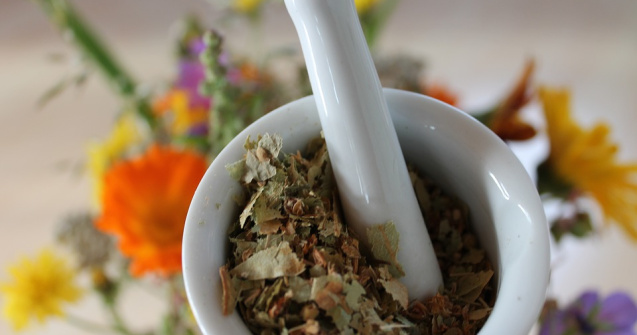 Beneficiile medicamentelor homeopate asupra organismului