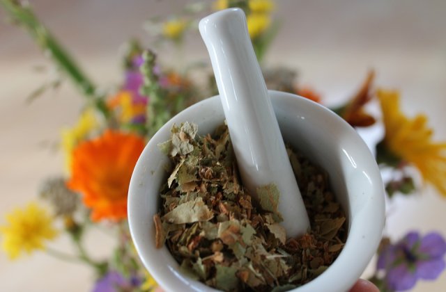 Beneficiile medicamentelor homeopate asupra organismului