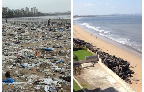 Testoasele marine au revenit pentru prima oara in 20 de ani pe o plaja din India, dupa ce a fost curatata