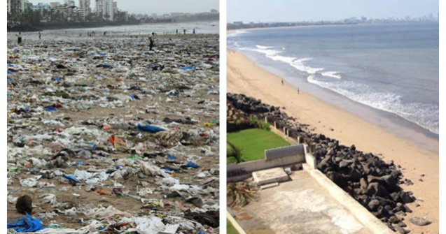 Testoase marine au revenit pe o plaja pentru prima oara in 20 de ani