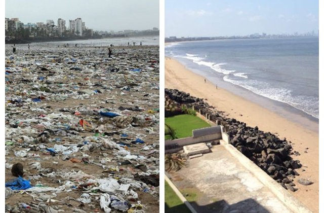 Testoasele marine au revenit pentru prima oara in 20 de ani pe o plaja din India, dupa ce a fost curatata