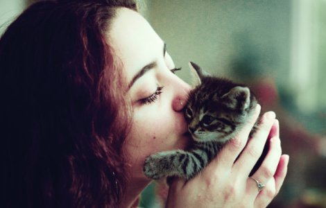  Top  10+ imagini cu animale posomorate care iti vor trezi instinctul de protectie