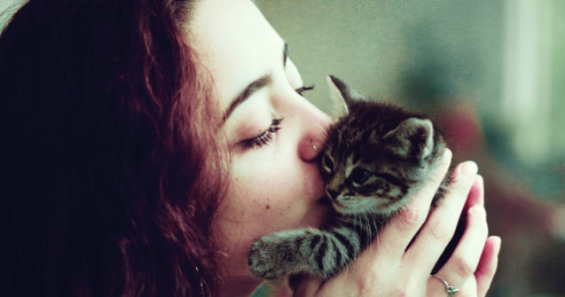  Top  10+ imagini cu animale posomorate care iti vor trezi instinctul de protectie