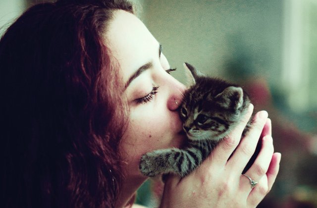 10+ imagini cu animale posomorate care iti vor trezi instinctul de protectie