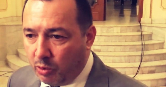 Radulescu (PSD): Membrii USR se intalneau pe la birouri si falsificau pur si simplu semnaturile