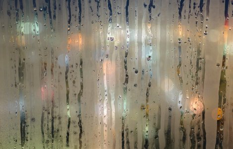 Umezeala in casa: Cum o elimini din locuinta ta