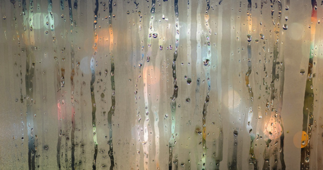 Umezeala in casa: Cum o elimini din locuinta ta