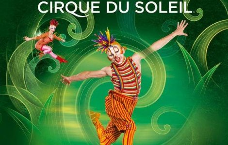  Video  Cirque du Soleil vine in Romania