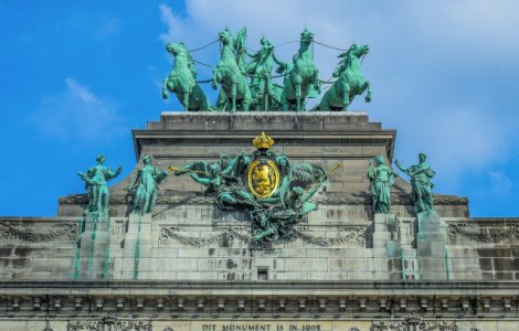 Belgia vrea masuri urgente la nivel european pentru a stopa raspandirea pestei porcine africane