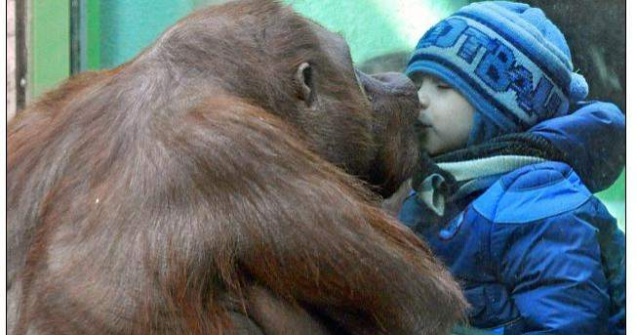  Foto  Momentul care a emotionat o lume intreaga