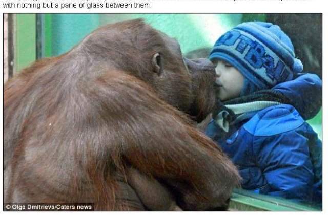 [FOTO] Momentul care a emotionat o lume intreaga