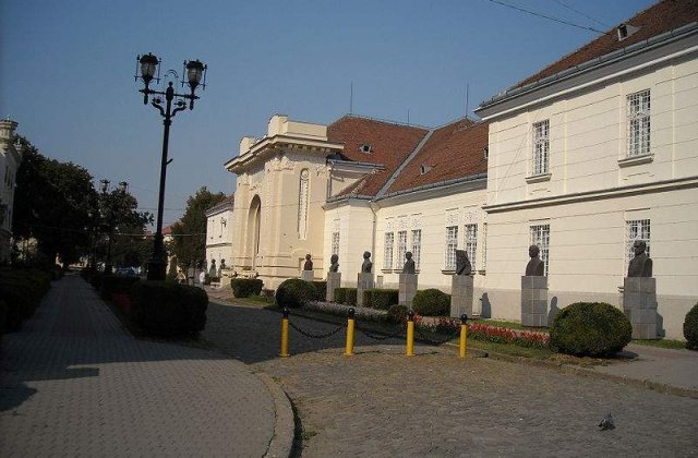 Cat costa Ziua Nationala la Alba Iulia?