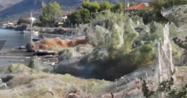 Faleza unei insule din Grecia a fost acoperita de panza de paianjen