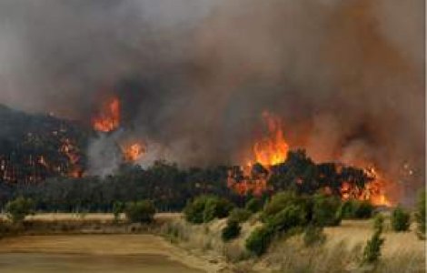 Incendiile din Australia au provocat moartea a 84 de persoane