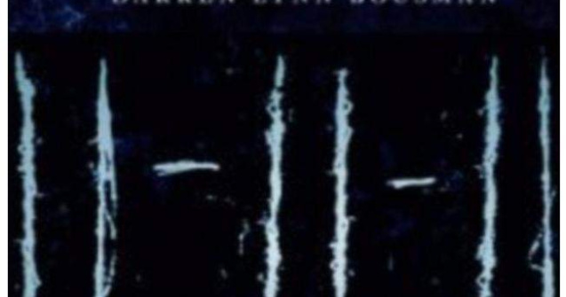 Ce se intampla pe 11/11/11?