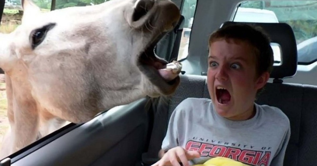  Top  10+ cele mai nereusite poze din vacanta